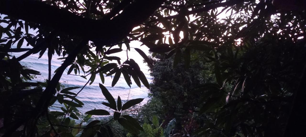 Treehouse Above The Beach Port Antonio Zewnętrze zdjęcie
