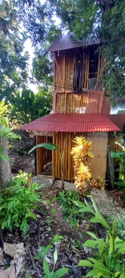 Treehouse Above The Beach Port Antonio Zewnętrze zdjęcie