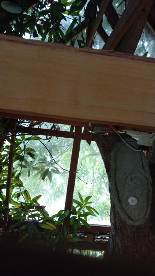 Treehouse Above The Beach Port Antonio Zewnętrze zdjęcie