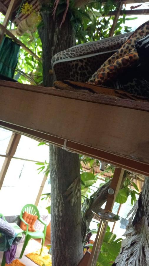 Treehouse Above The Beach Port Antonio Zewnętrze zdjęcie