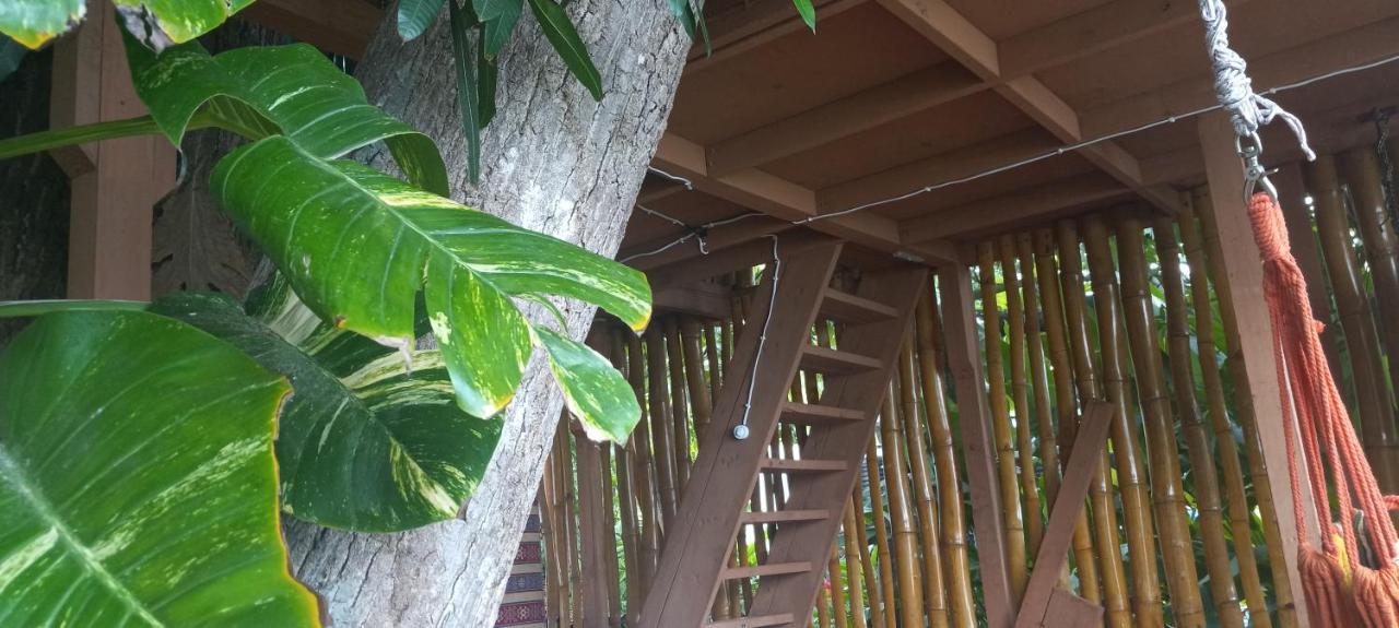Treehouse Above The Beach Port Antonio Zewnętrze zdjęcie