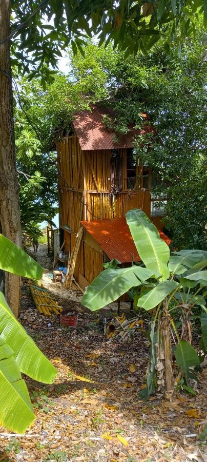 Treehouse Above The Beach Port Antonio Zewnętrze zdjęcie