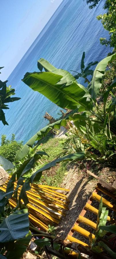 Treehouse Above The Beach Port Antonio Zewnętrze zdjęcie
