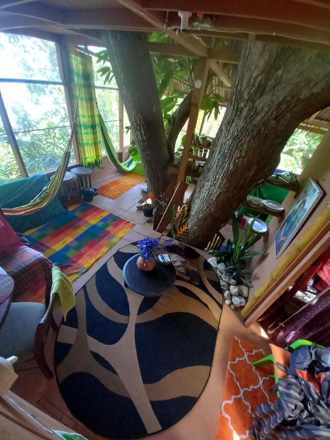 Treehouse Above The Beach Port Antonio Zewnętrze zdjęcie